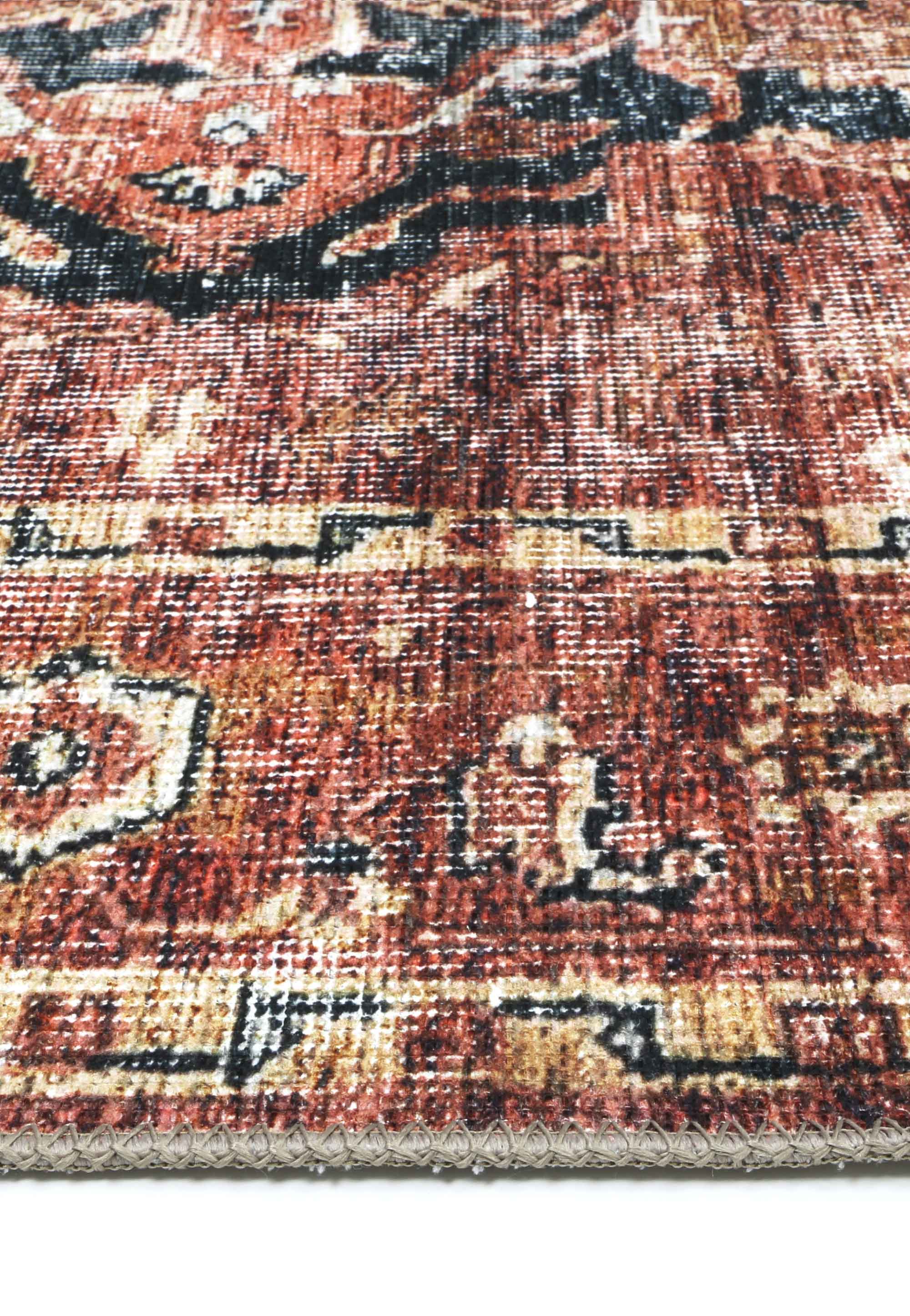  Distressed Vintage Cezanne Terracotta Area Rug zoomed