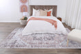 Load image into Gallery viewer, Distressed Vintage Cezanne Blush Area Rug in bedroom
