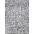 Load image into Gallery viewer, Contemporary Lauro Grey Rug main
