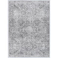 Load image into Gallery viewer, Versailles Winter Gray Rug main
